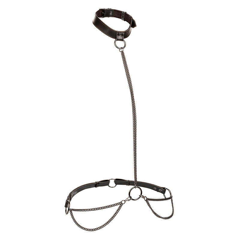 Arnés con Cadena y Collar Euphoria Talla Grande