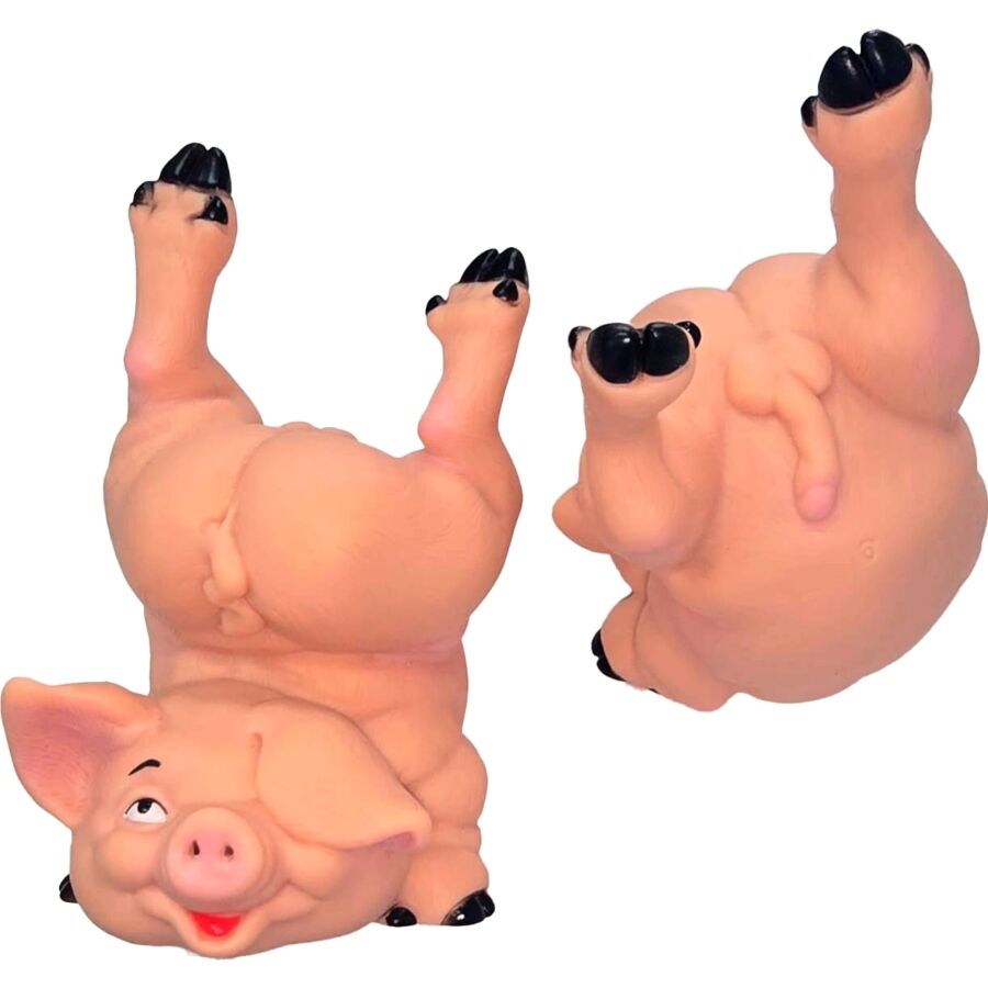 Hucha Divertida Cerdo Desnudo