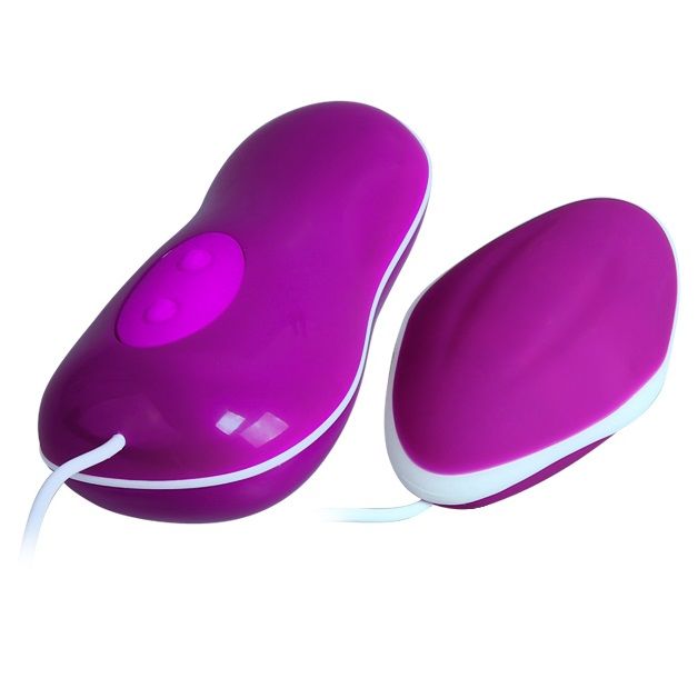 PRETTY LOVE Ovo Vibrante Avery com Controle Remoto Fio - Vista geral do vibrador e controle.