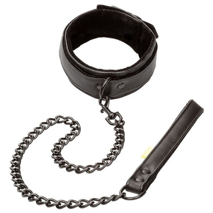 Collar y Correa BDSM Ajustables de Cuero Vegano