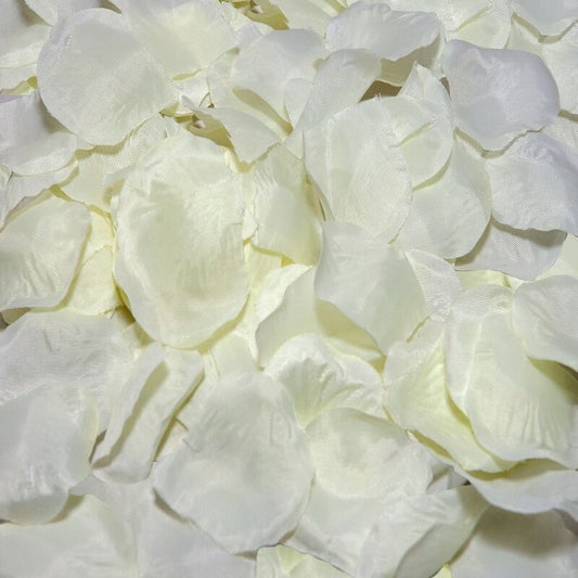 Pétalos Decorativos de Vainilla - 100 Unidades