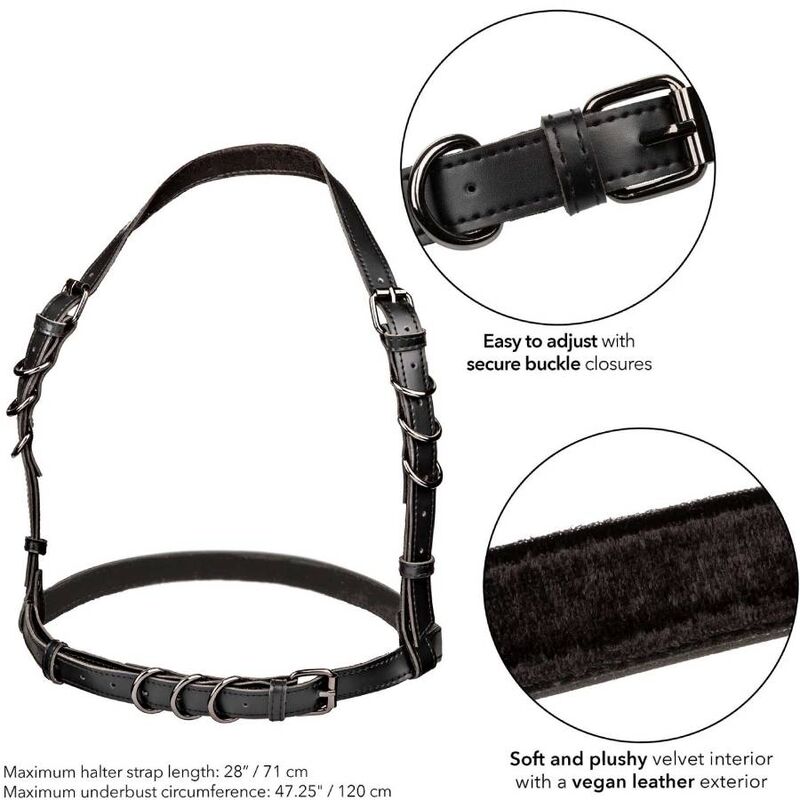 Arnés Halter con Hebilla Talla Grande Euphoria Negro