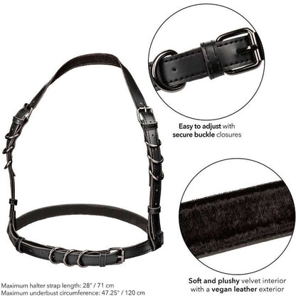 Arnés Halter con Hebilla Talla Grande Euphoria Negro