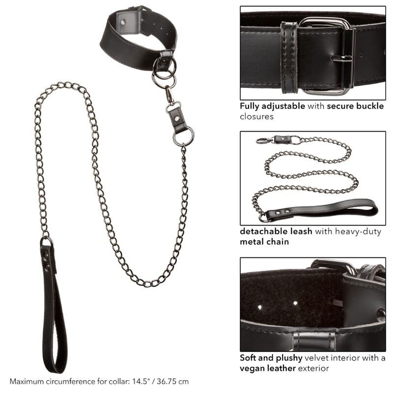 Collar Euphoria con Correa de Cadena