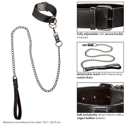 Collar Euphoria con Correa de Cadena