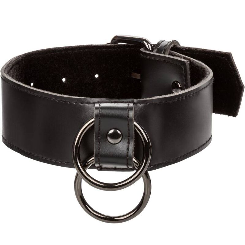 Collar Euphoria con Correa de Cadena