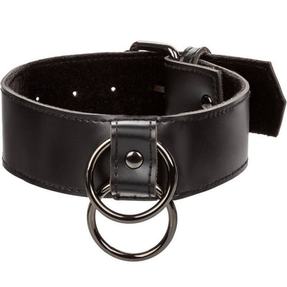 Collar Euphoria con Correa de Cadena