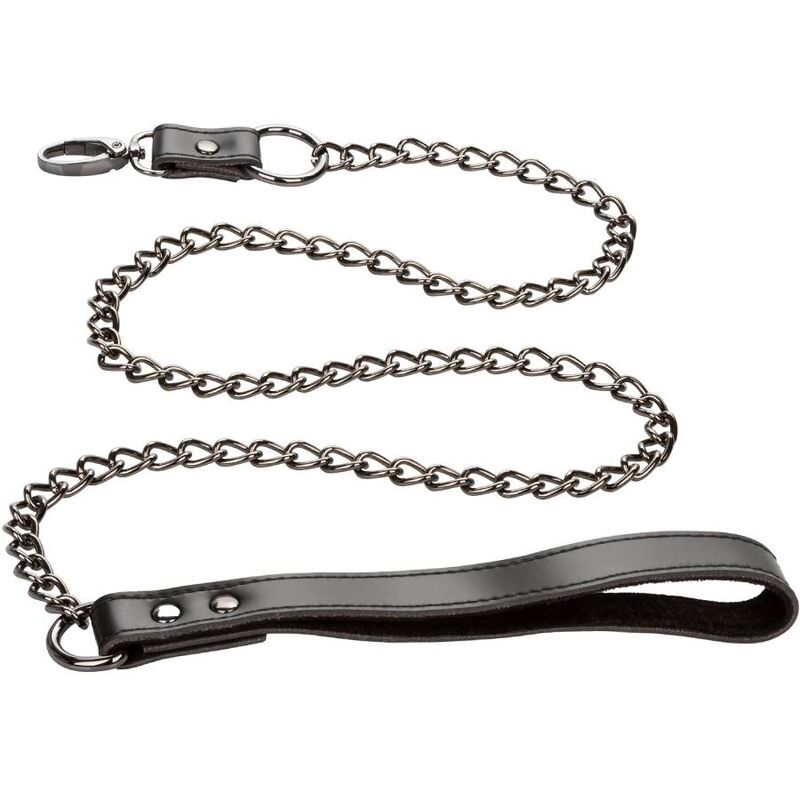 Collar Euphoria con Correa de Cadena