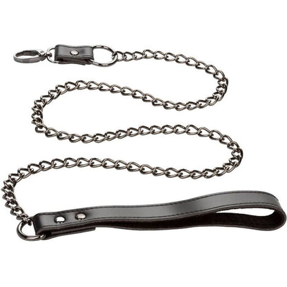 Collar Euphoria con Correa de Cadena