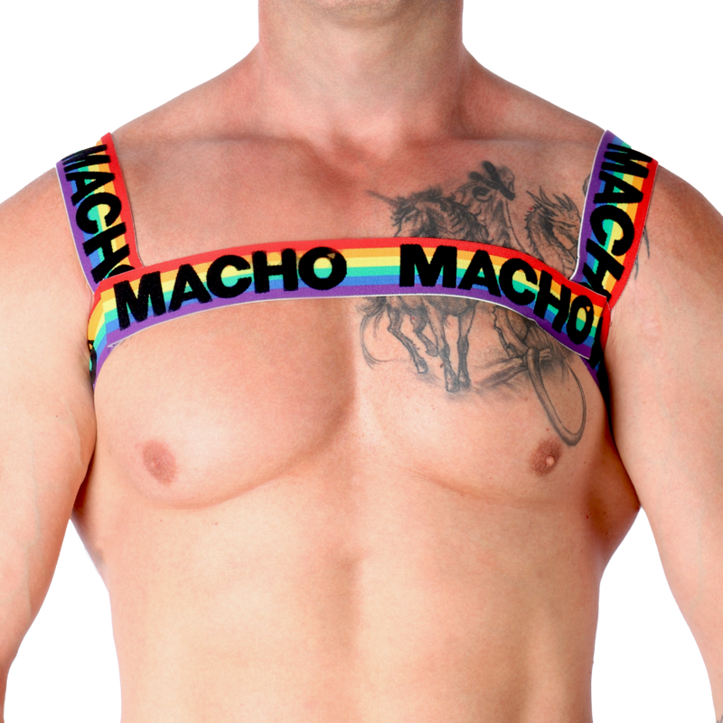 Macho Arnês Duplo Elástico Edição Pride Limited, destacando as cores vibrantes e o design ajustável para diversos corpos.