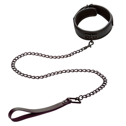 Collar y Correa de Cuero Ajustable Nocturnal