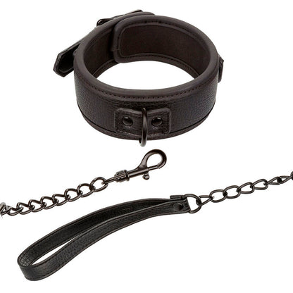 Collar y Correa de Cuero Ajustable Nocturnal