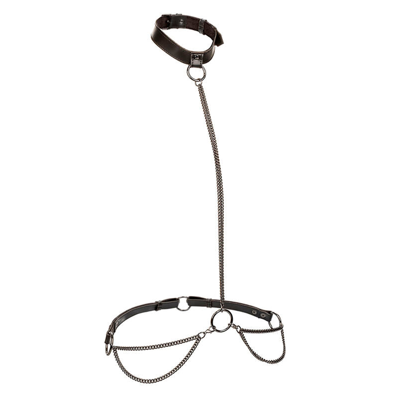 Collar y Correa de Cadena Ajustable Euphoria