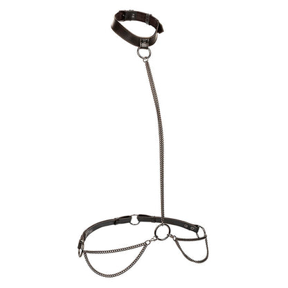 Arnés con Cadena y Collar Euphoria Talla Grande