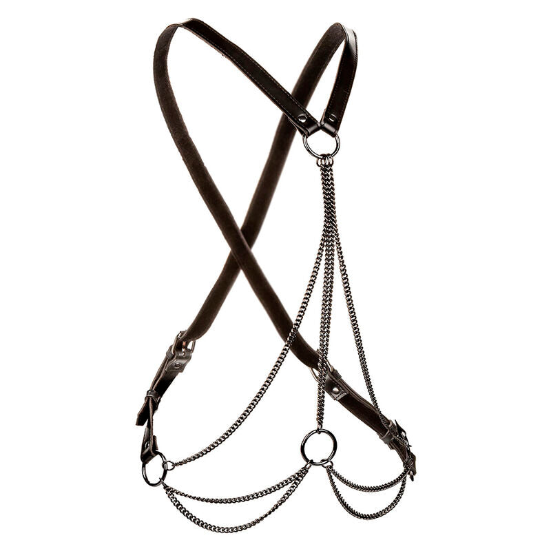Arnés Multi-Cadenas Premium Euphoria