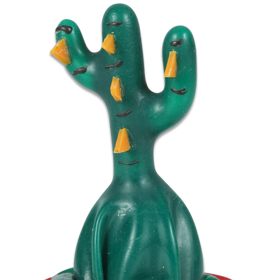 Preservativos de Novedad Pintados a Mano Cactus