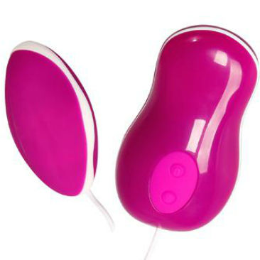 PRETTY LOVE Ovo Vibrante Avery com Controle Remoto Fio - Vista geral do vibrador e controle.