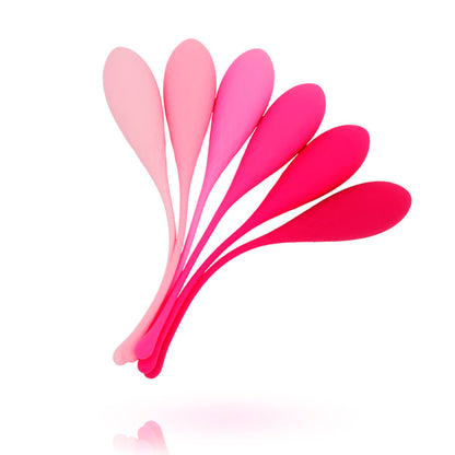 LESLIE - SET DE ENTRENAMIENTO DE MÚSCULOS PÉLVICOS KEGEL FIT 6 PIEZAS